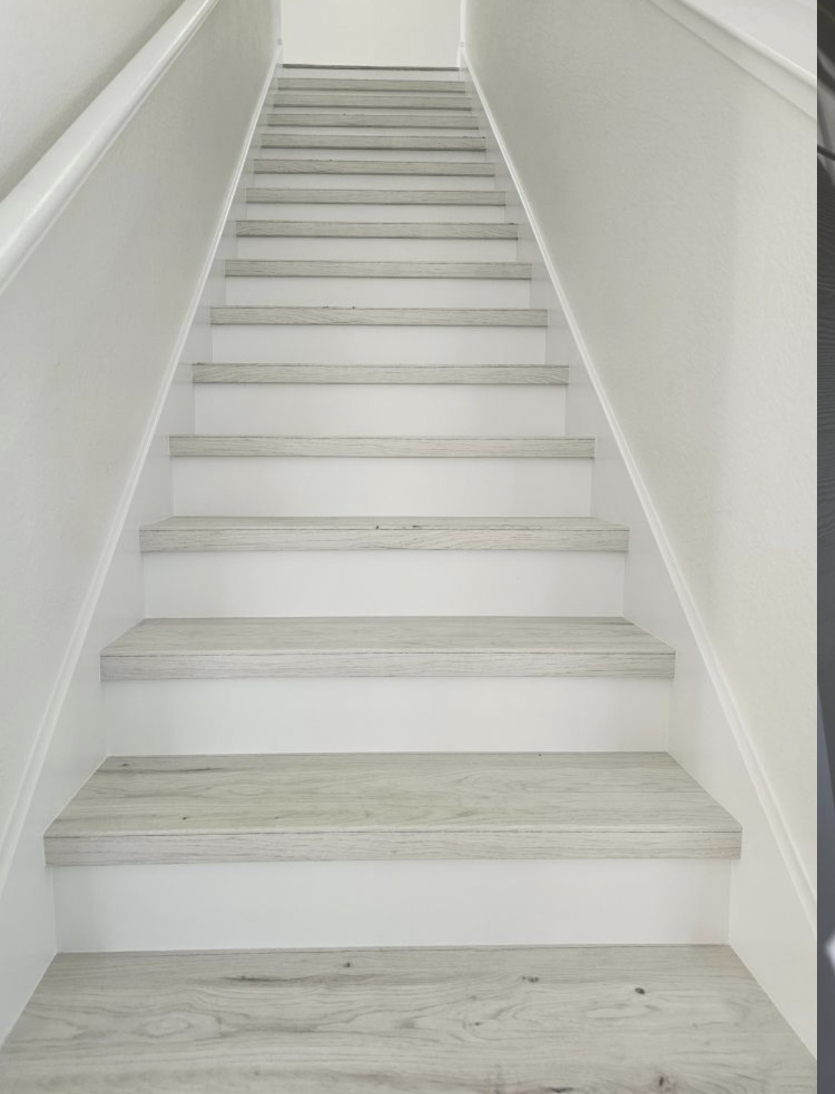 Commercial Painting